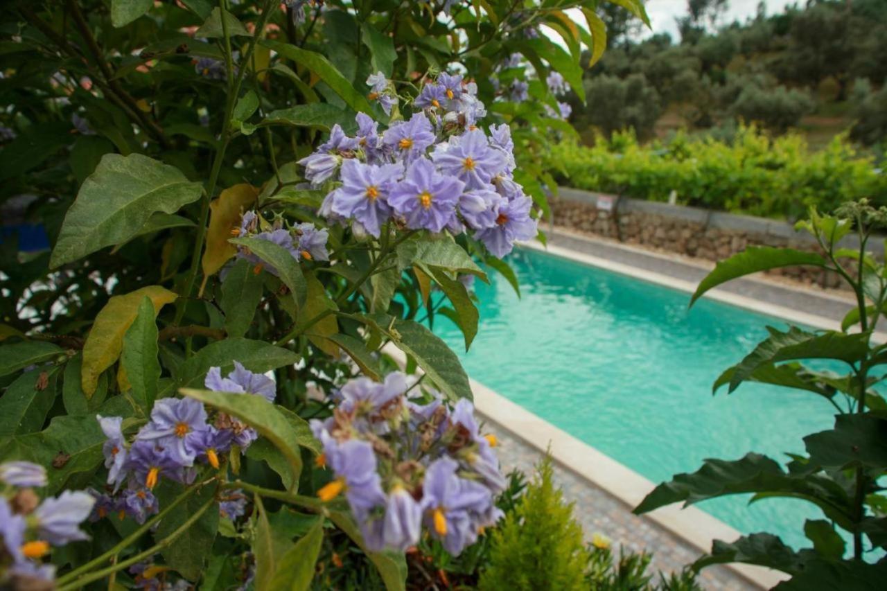 Quinta Ribeiro Tanquinhos ξενώνας Tancos Εξωτερικό φωτογραφία