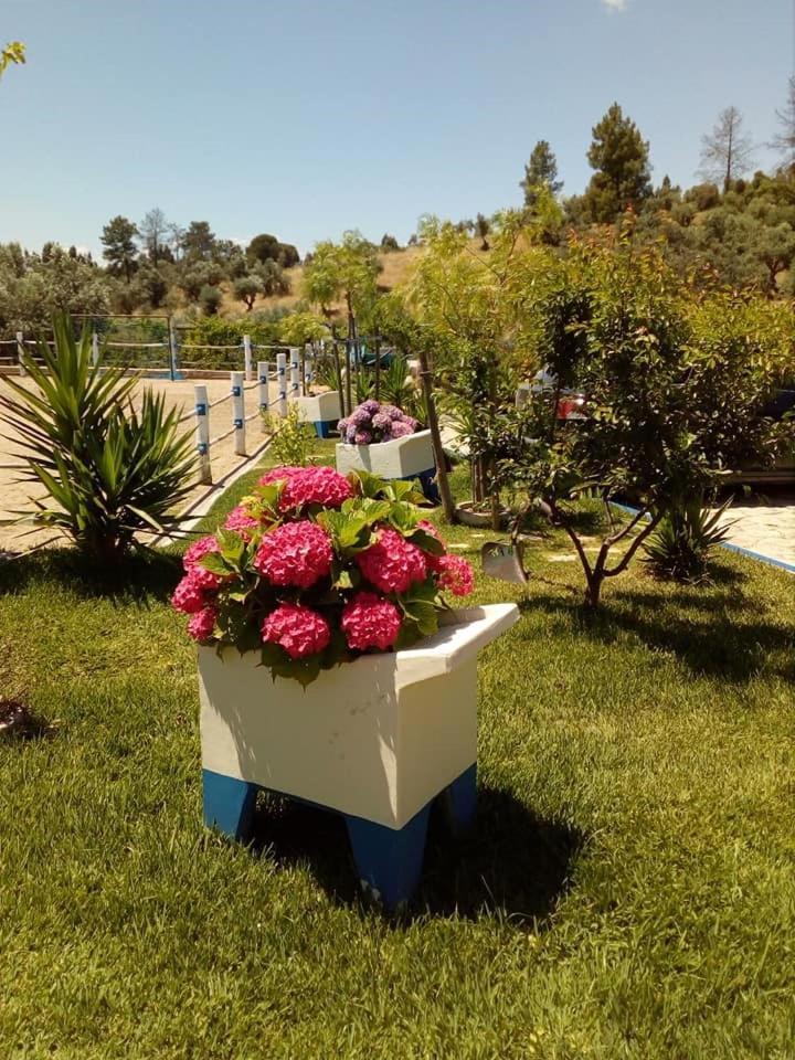 Quinta Ribeiro Tanquinhos ξενώνας Tancos Εξωτερικό φωτογραφία