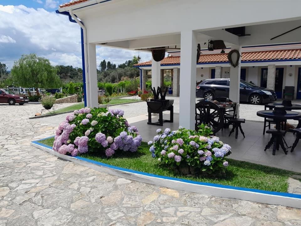 Quinta Ribeiro Tanquinhos ξενώνας Tancos Εξωτερικό φωτογραφία