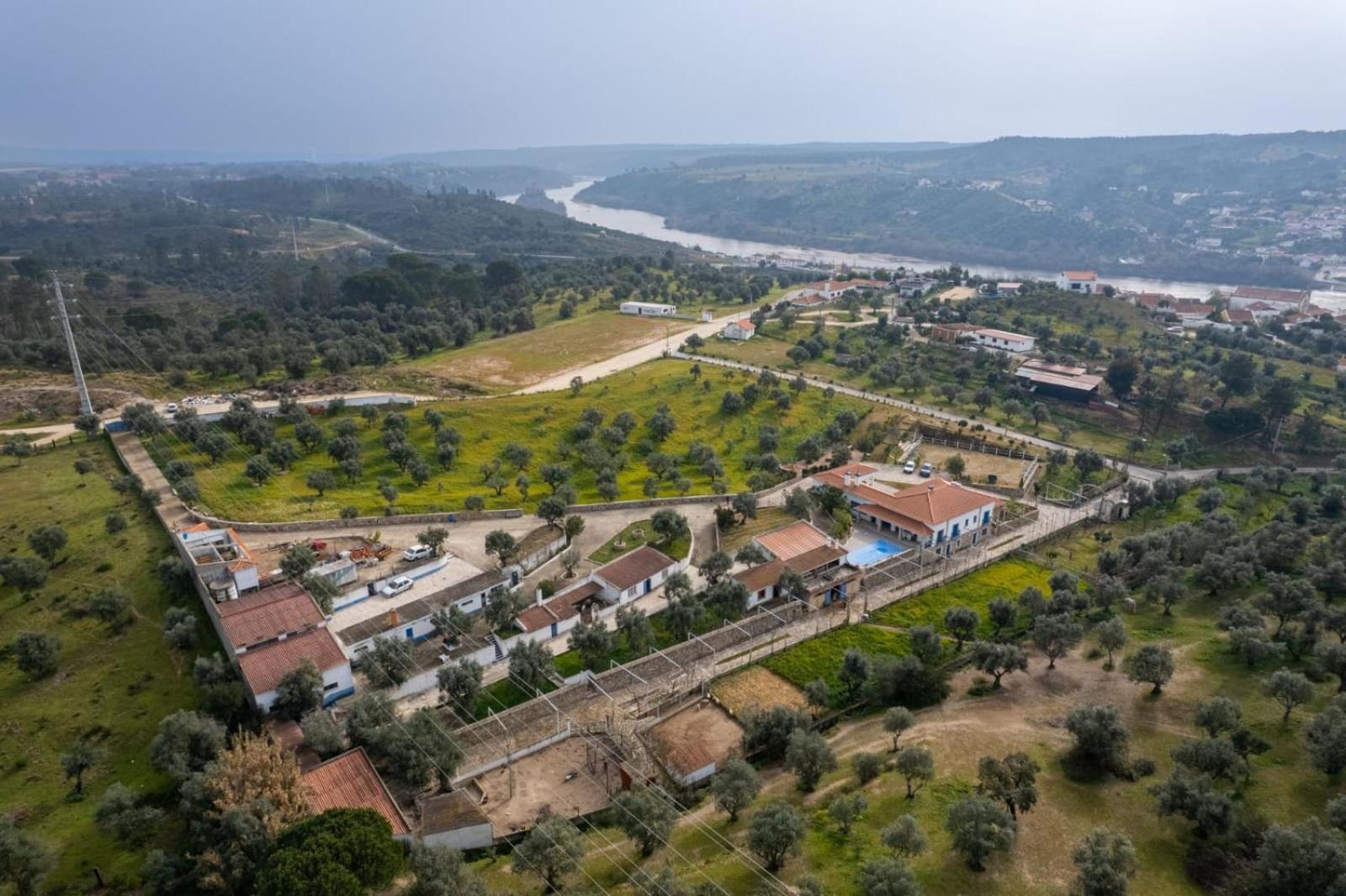 Quinta Ribeiro Tanquinhos ξενώνας Tancos Εξωτερικό φωτογραφία