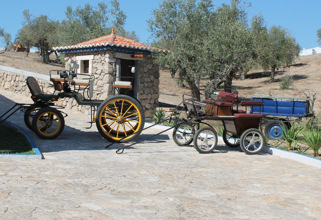 Quinta Ribeiro Tanquinhos ξενώνας Tancos Εξωτερικό φωτογραφία