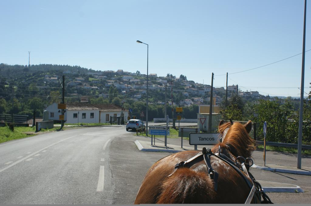 Quinta Ribeiro Tanquinhos ξενώνας Tancos Εξωτερικό φωτογραφία