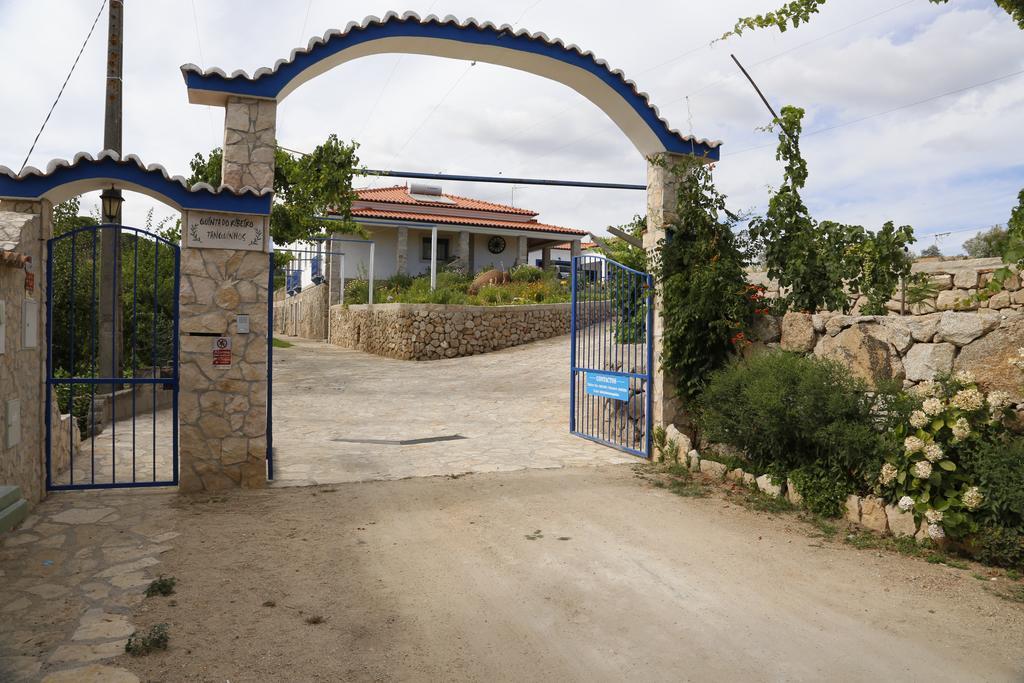 Quinta Ribeiro Tanquinhos ξενώνας Tancos Εξωτερικό φωτογραφία
