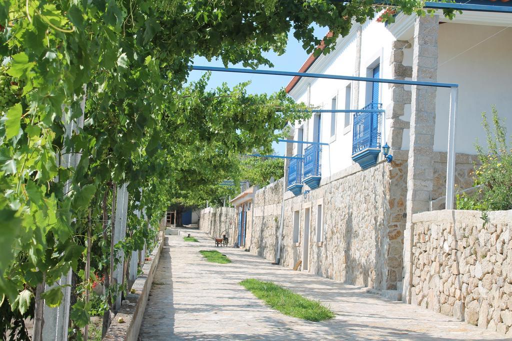 Quinta Ribeiro Tanquinhos ξενώνας Tancos Εξωτερικό φωτογραφία