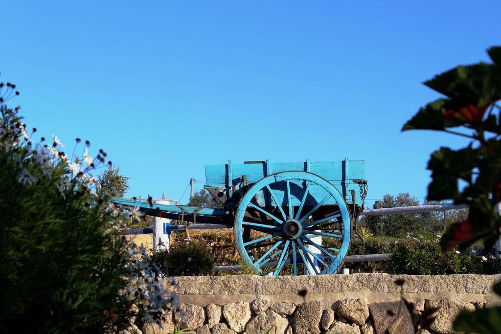 Quinta Ribeiro Tanquinhos ξενώνας Tancos Εξωτερικό φωτογραφία