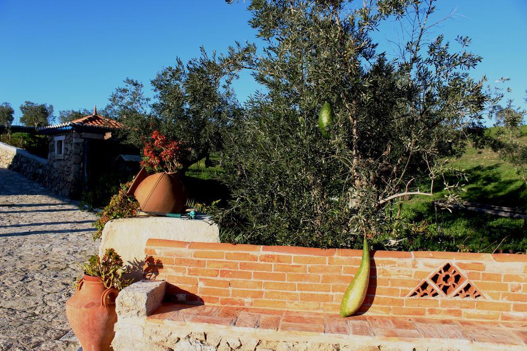 Quinta Ribeiro Tanquinhos ξενώνας Tancos Εξωτερικό φωτογραφία