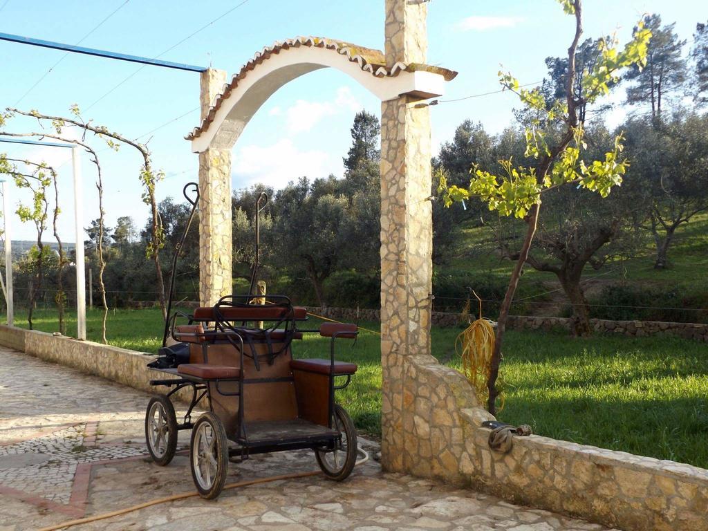 Quinta Ribeiro Tanquinhos ξενώνας Tancos Εξωτερικό φωτογραφία