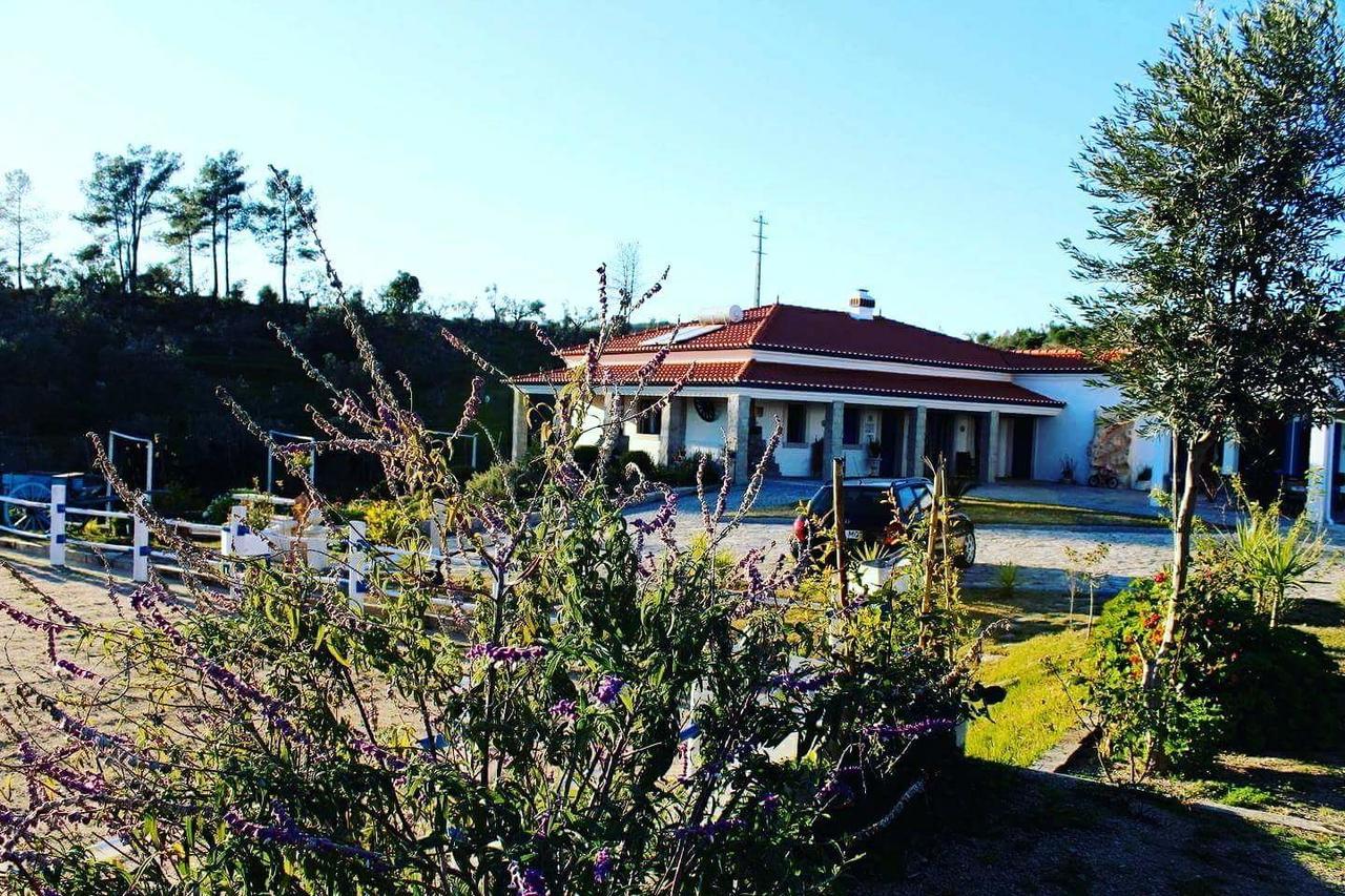 Quinta Ribeiro Tanquinhos ξενώνας Tancos Εξωτερικό φωτογραφία