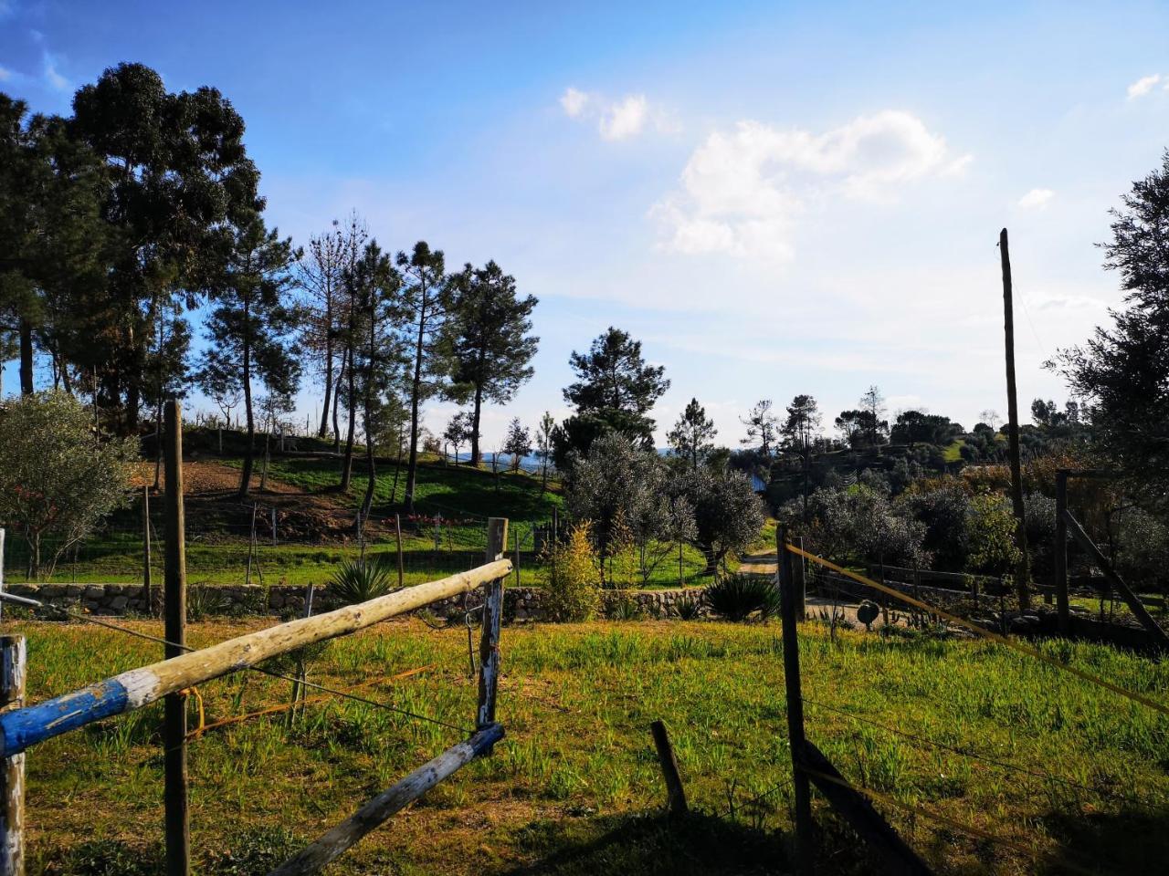 Quinta Ribeiro Tanquinhos ξενώνας Tancos Εξωτερικό φωτογραφία