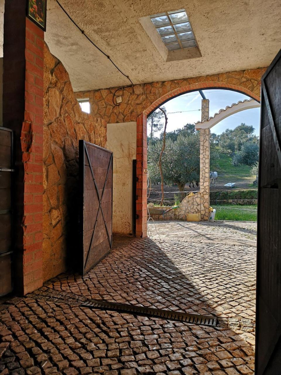 Quinta Ribeiro Tanquinhos ξενώνας Tancos Εξωτερικό φωτογραφία